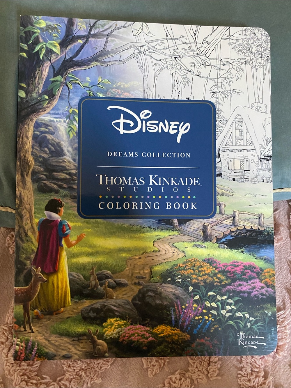 Disney’s Coloring Book by Thomas Kinkade